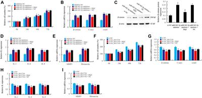 The Traditional Chinese Medicine Compound Huangqin Qingre Chubi Capsule Inhibits the Pathogenesis of Rheumatoid Arthritis Through the CUL4B/Wnt Pathway